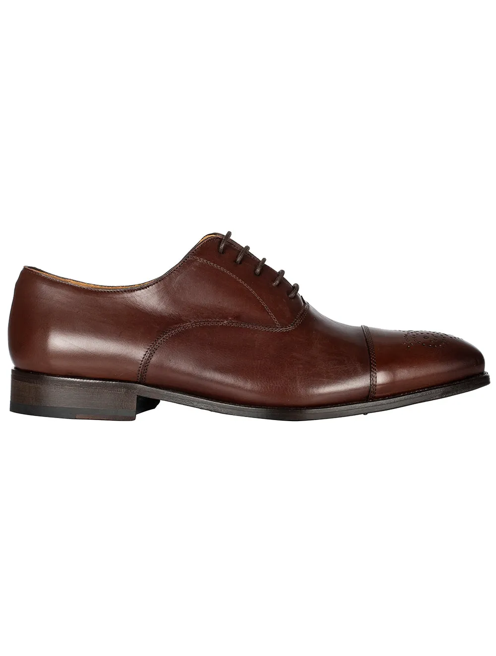 Cashe Oxford Brogue Brown