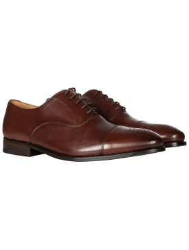 Cashe Oxford Brogue Brown